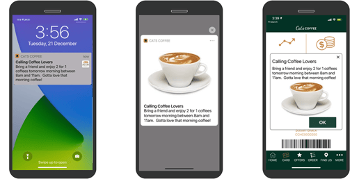 Cats-push-notifications-v2-1